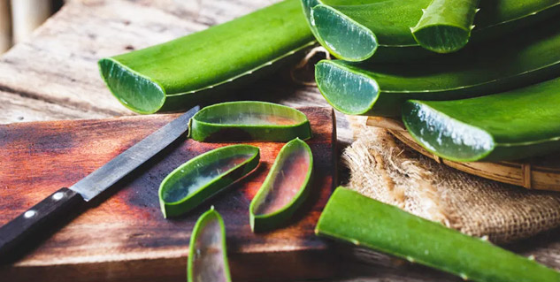 Aloe-Vera-For-Piles