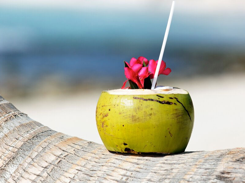गर्मियों में रोज नारियल पानी पीने से सेहत को मिलेंगे ये 7 फायदे, कई बीमारियां रहेंगी दूर