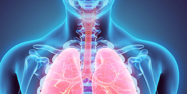 Microplastics-in-Human-Lung