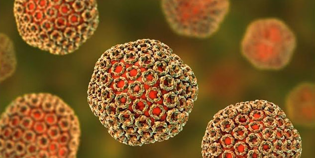 rift valley fever virus
