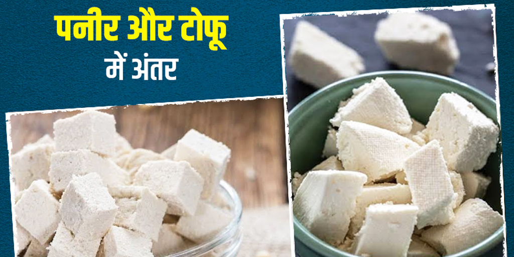 Tofu vs Paneer: पनीर और टोफू दोनों में से क्या है ज्यादा फायदेमंद, जानें इनमें मौजूद पोषक तत्व