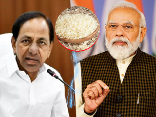पारबॉइल्ड राइस क्या है और कितना फायदेमंद है? इस चावल के लिए केंद्र और तेलंगाना सरकार क्यों हैं आमने-सामने