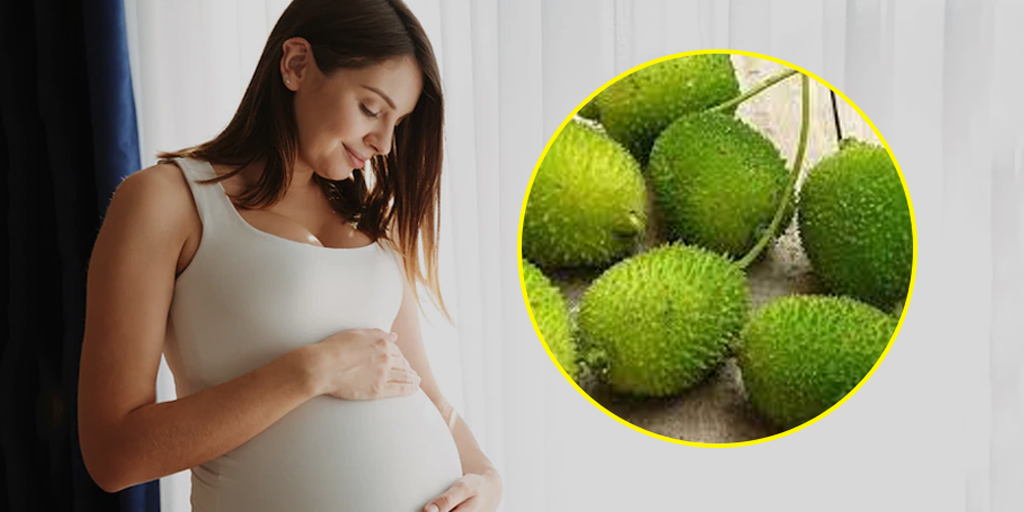 प्रेगनेंसी में कंटोला की सब्जी खाने के फायदे और सावधानियां Spiny