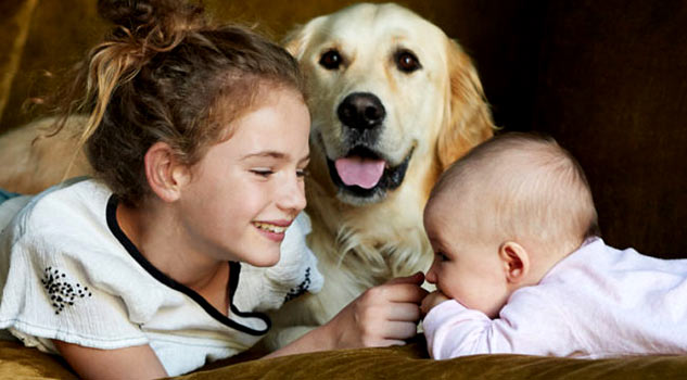 Dog allergy outlet treatment in hindi