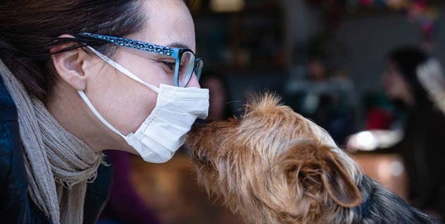 Animal-to-Human-Covid-Transmission