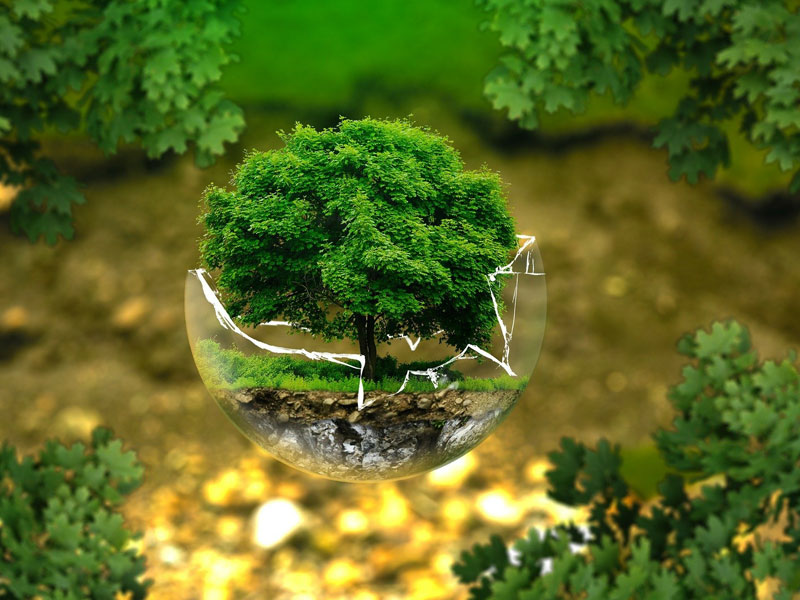 World Earth Day 2022: जीवनशैली में ये 4 बदलाव कर, पृथ्वी को बचाने में दें अपना योगदान 
