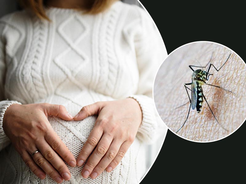 प्रेगनेंसी में मलेरिया होने पर आपके शरीर और शिशु पर कैसे पड़ता है असर? जानें एक्सपर्ट की राय