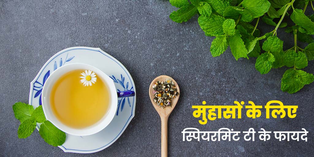 पहाड़ी पुदीने की चाय पीने के फायदे, दूर होंगे मुंहासे Best Spearmint