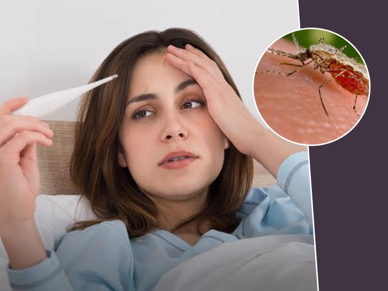World Malaria Day 2023: 5 तरह का हो सकता है मलेरिया बुखार, डॉक्टर से जानें इनके लक्षण 