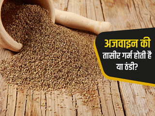 अजवाइन की तासीर गर्म होती है या ठंडी? जानें एक्सपर्ट की क्या है राय