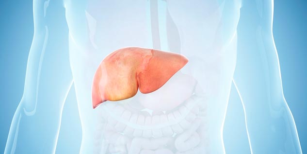 healthy liver 