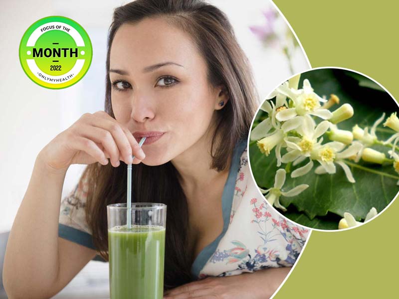नीम के फूल का शरबत पीने से सेहत को मिलते हैं ये 5 फायदे,  एक्सपर्ट से जानें रेसिपी और पीने का तरीका