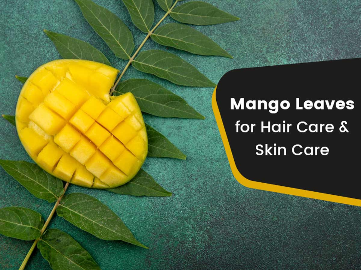 4 Benefits of Mango for Hair That You Should Know – Local Pharmacy Online