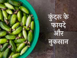 क्या सब के लिए फायदेमंद है कुंदरू? एक्सपर्ट से जानें कुंदरू खाने के फायदे और नुकसान