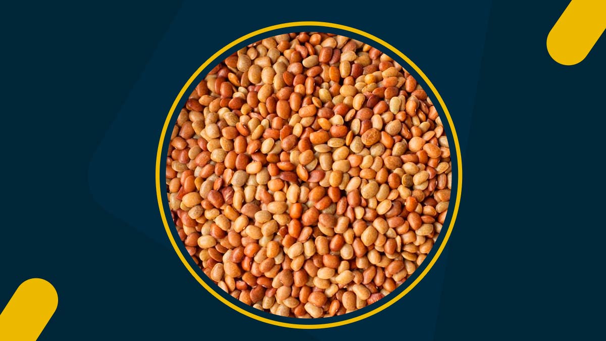 kulthi ki dal to eat in stone