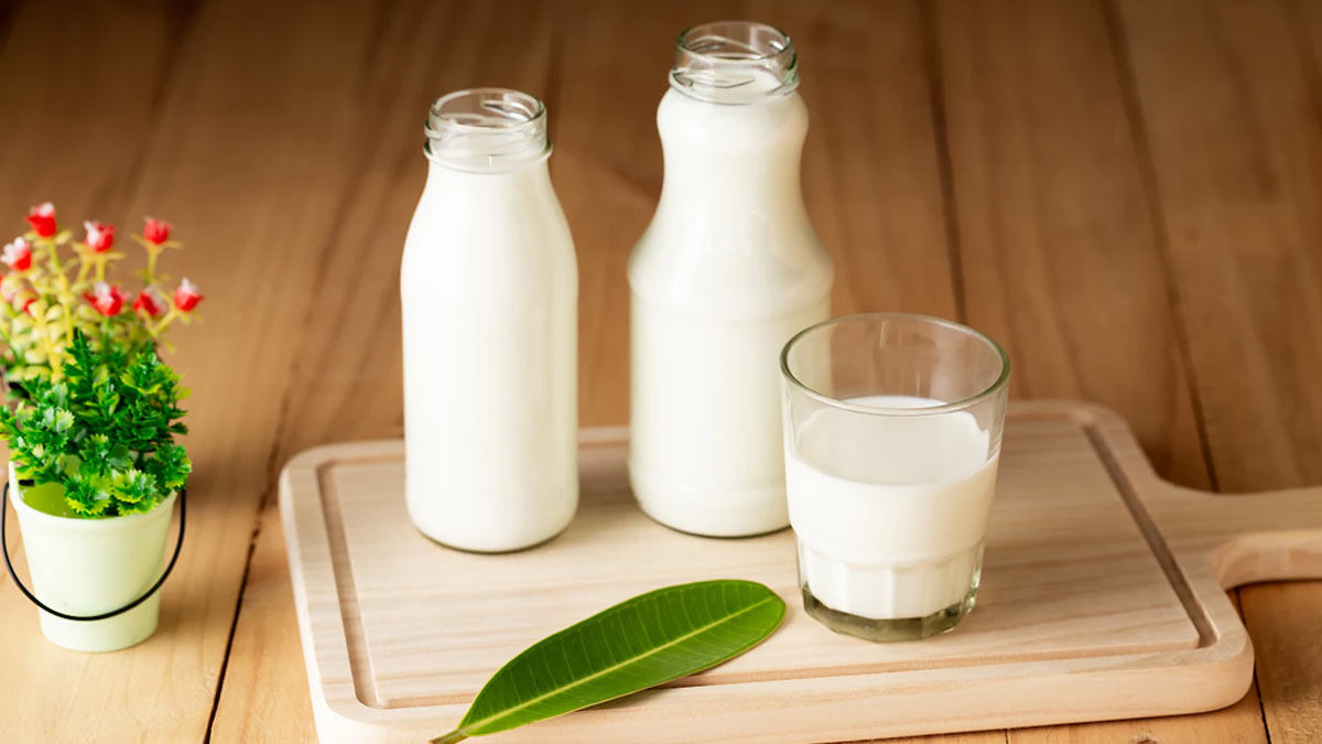 Dairy Products can cause of acene