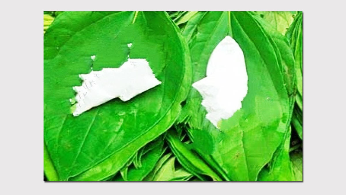 chuna and paan to remove mole