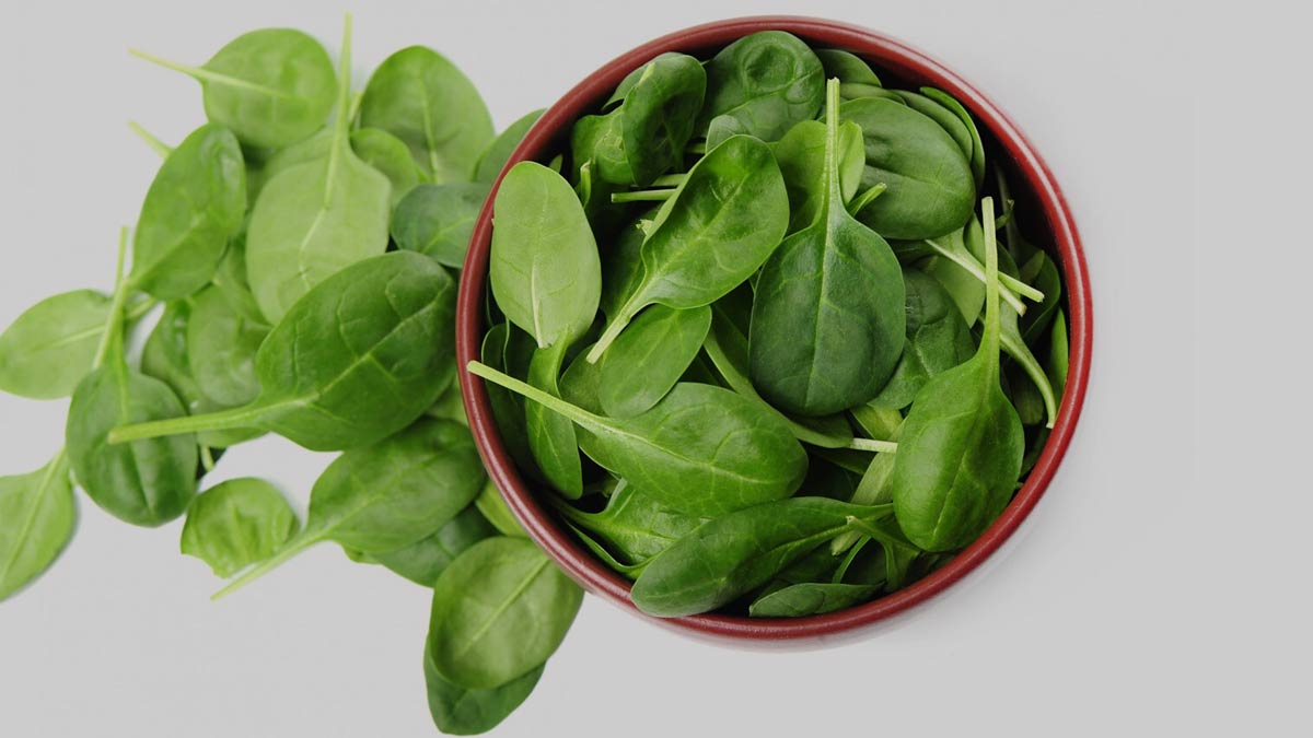 क्या कच्चा पालक खा सकते हैं? जानें इसके फायदे और नुकसान | benefits of