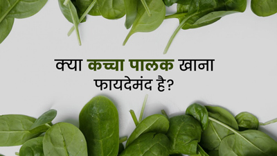 क्या कच्चा पालक खा सकते हैं? जानें इसके फायदे और नुकसान