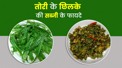 तोरी के छिलके फेंकने के बजाय बनाएं सब्जी और चटनी, मिलेंगे 5 फायदे
