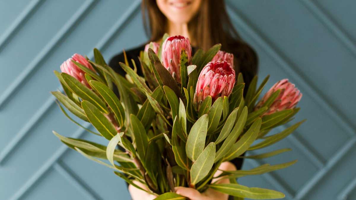 Passion Flower Benefits In Hindi