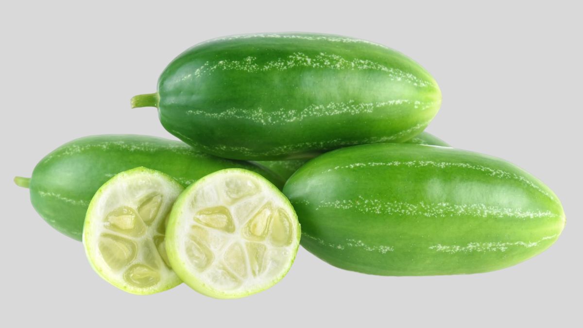 is ivy gourd bad for brain