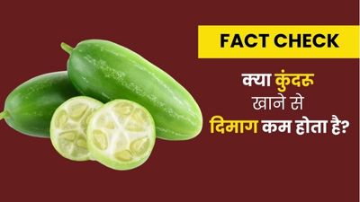 Fact Check: क्या कुंदरू खाने से दिमाग कम होता है? जानें क्या कहते हैं एक्सपर्ट
