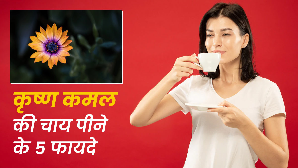 Passion Flower Tea: कृष्ण कमल के फूल की चाय पीने से सेहत को मिलेंगे ये 5 फायदे