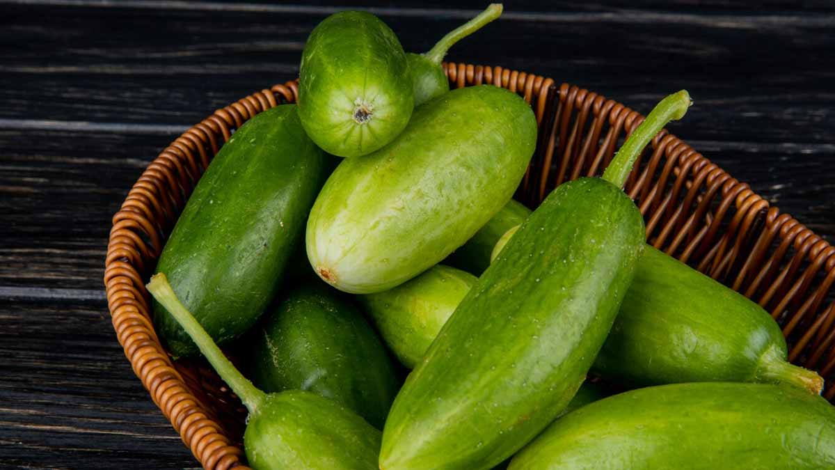 how-to-eat-raw-ivy-gourd