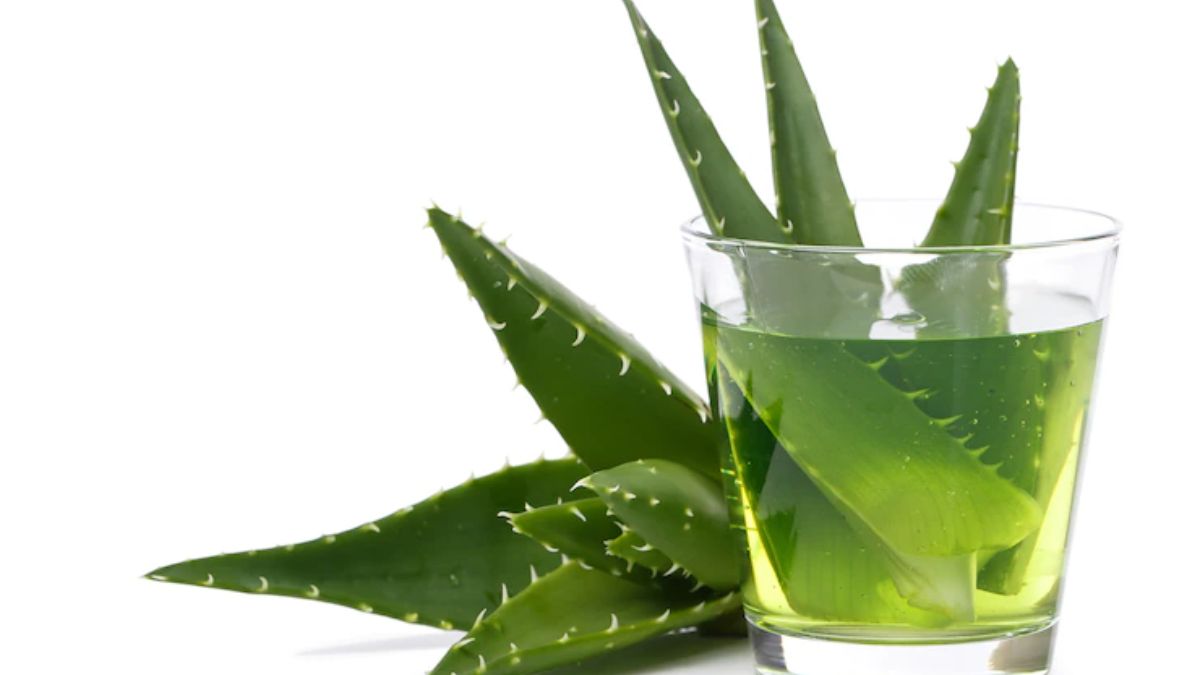 Benefits of Aloe Vera Oil