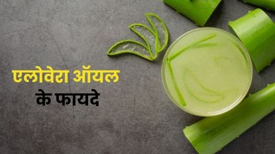 एलोवेरा ऑयल लगाने से मिलते हैं ये 6 फायदे, जानें बनाने का तरीका