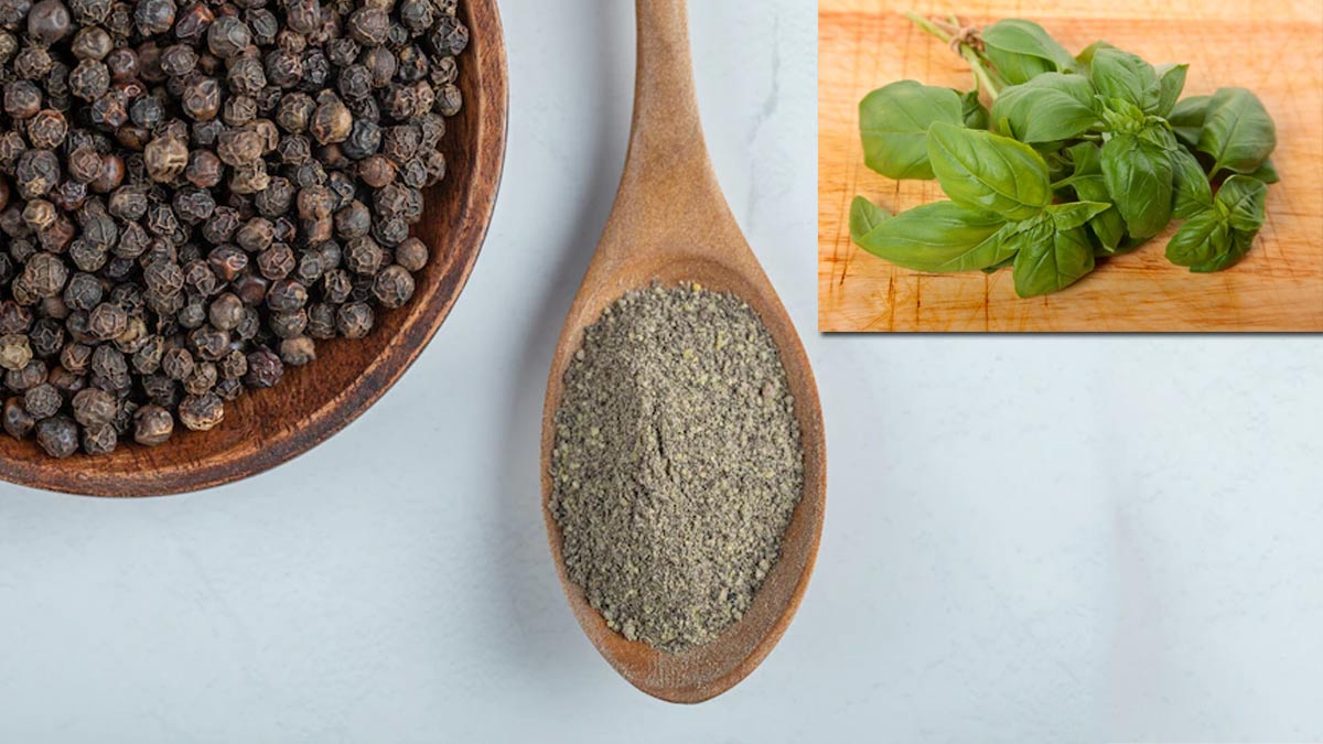 tulsi black pepper 