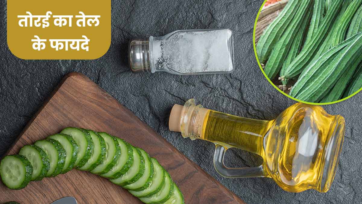 तोरई के तेल से स्किन और बालों को मिलते हैं कई जबरदस्त फायदे, जानें बनाने का तरीका