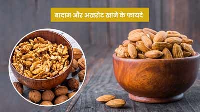 इस तरीके से एक साथ खाएं बादाम और अखरोट, मिलेंगे ये 5 फायदे