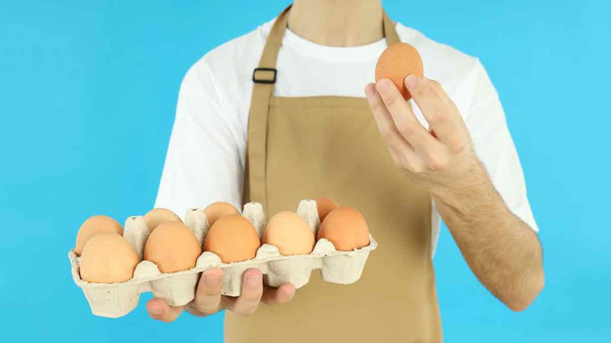 Egg Diet For Weight Loss