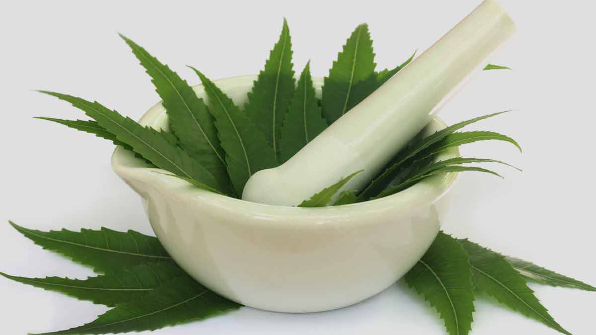 how-to-use-neem-leaves-during-periods