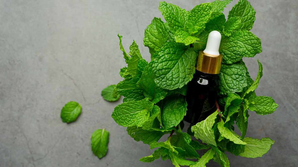 Peppermint oil