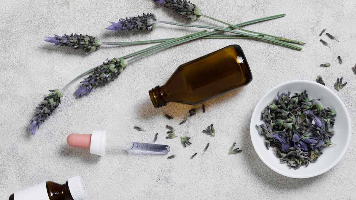 Nilgiri oil for headache