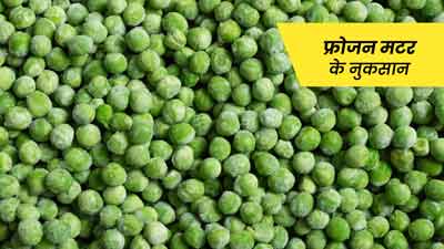 क्या आप भी इस्तेमाल करते हैं फ्रोजन मटर? जान लें इससे होने वाले 5 नुकसान