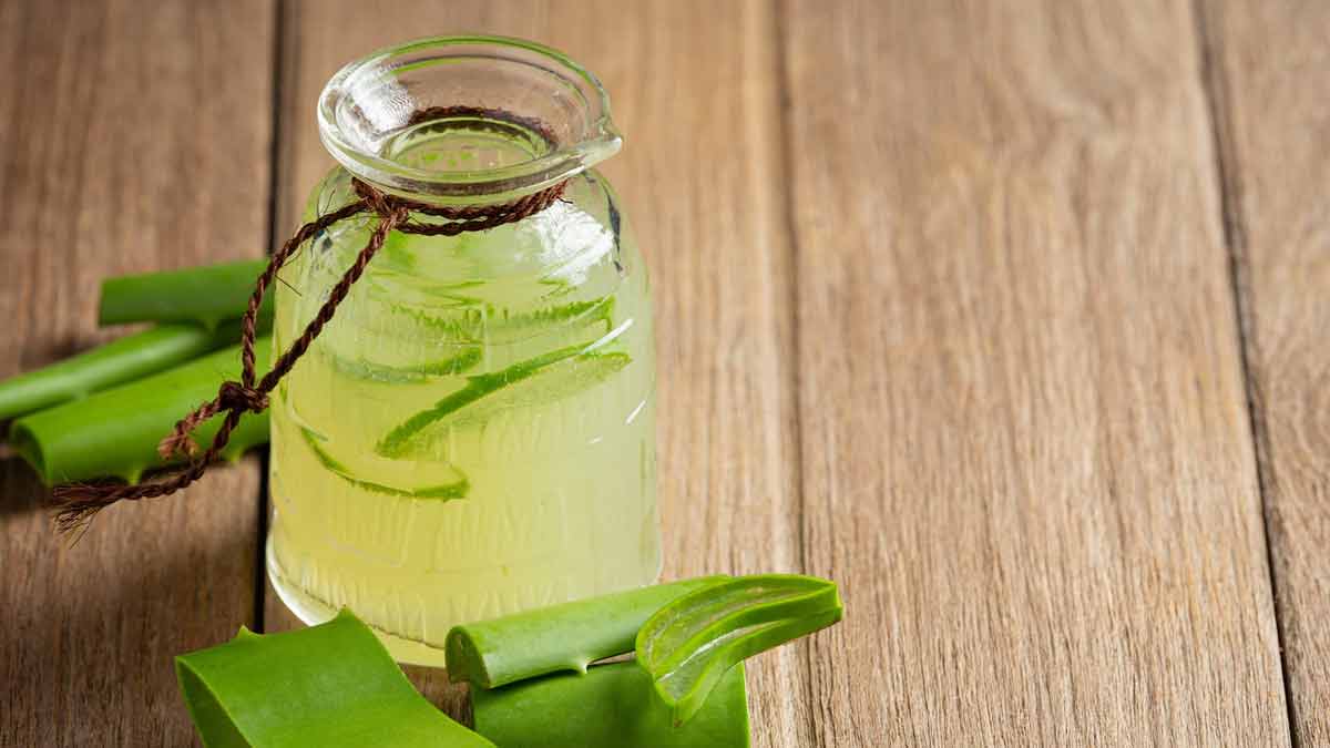 कब्ज होने पर इन 4 तरीकों से पिएं एलोवेरा जूस, पेट खुलकर साफ होगा aloe