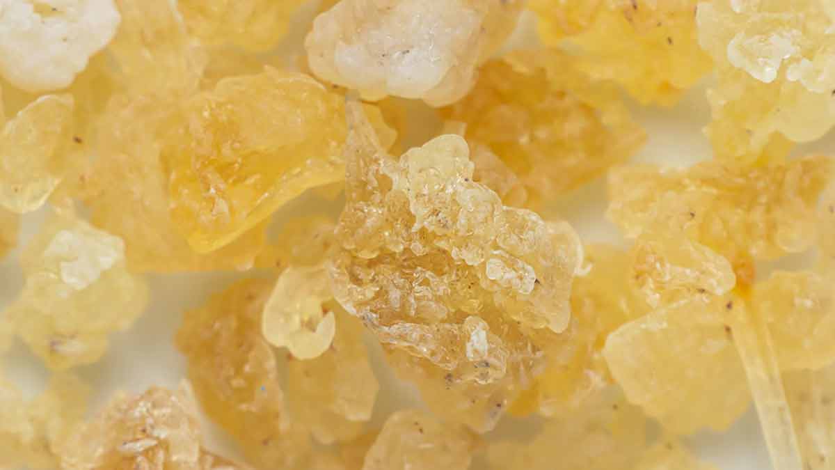 Side Effects Of Gond Katira In Hindi