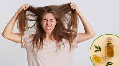 इन 5 स्‍थ‍ित‍ियों में नहीं लगाना चाहिए बालों में तेल, जानें कारण