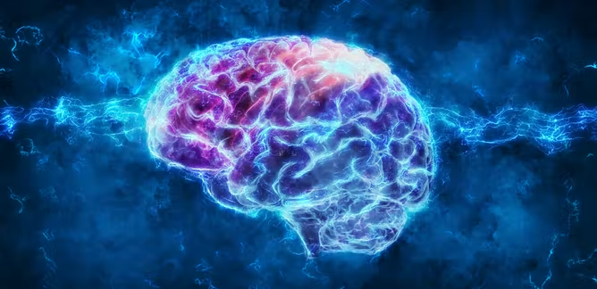 Can organs function after brain death?