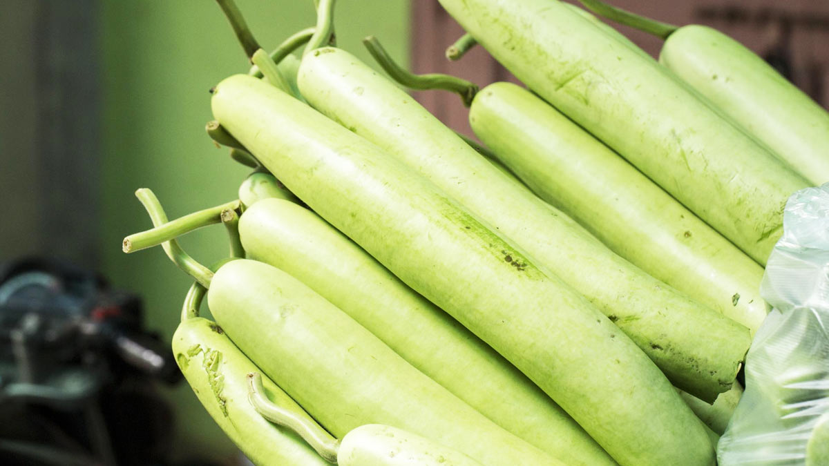 Disadvantages of bottle gourd