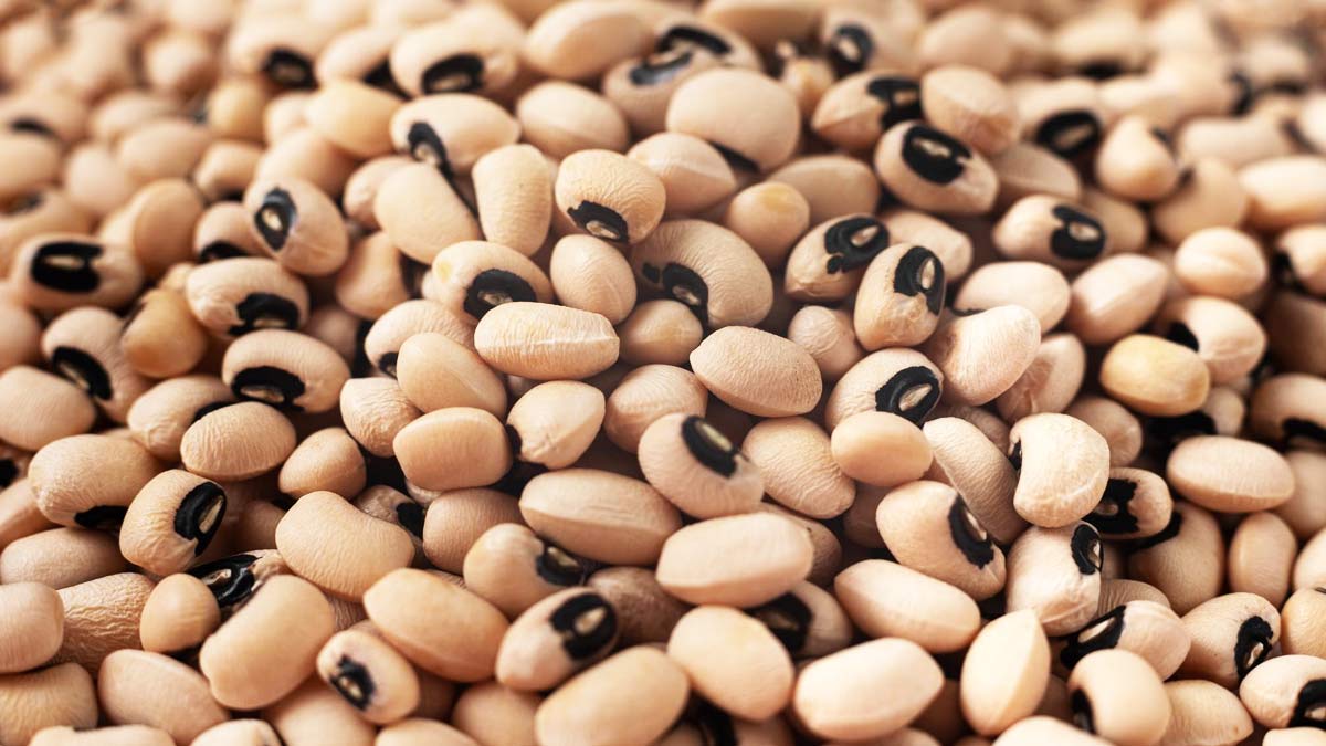 Pulses for Healthy Heart