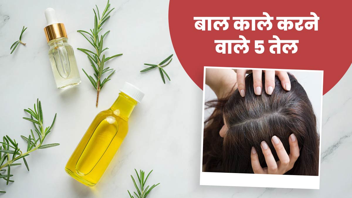 सफेद बालों को काला करने वाला तेल | Best Oil For Black Hair In Hindi | Safed  Balo Ko Kala Karne Wala Tel