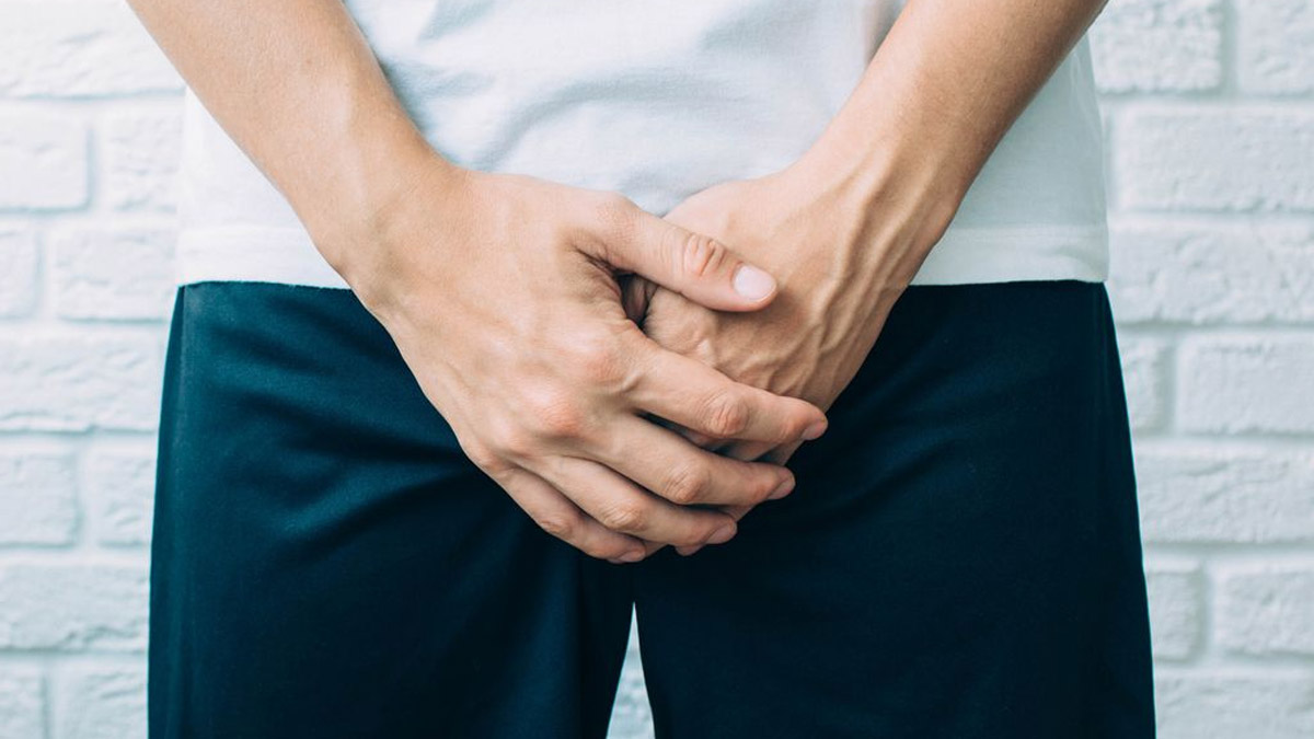 testicles normal size