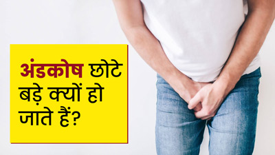 Testicles Size: अंडकोष छोटे बड़े क्यों होते हैं? जानें अंडकोष का नार्मल साइज