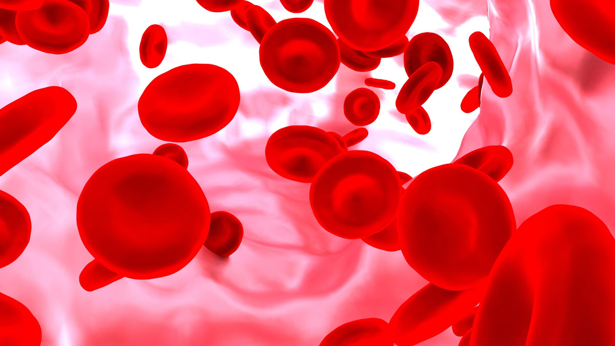 dates and almonds increase blood in body