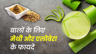 बालों की इन 5 समस्याओं को दूर करते हैं मेथी और एलोवेरा, जानें इस्तेमाल का तरीका 